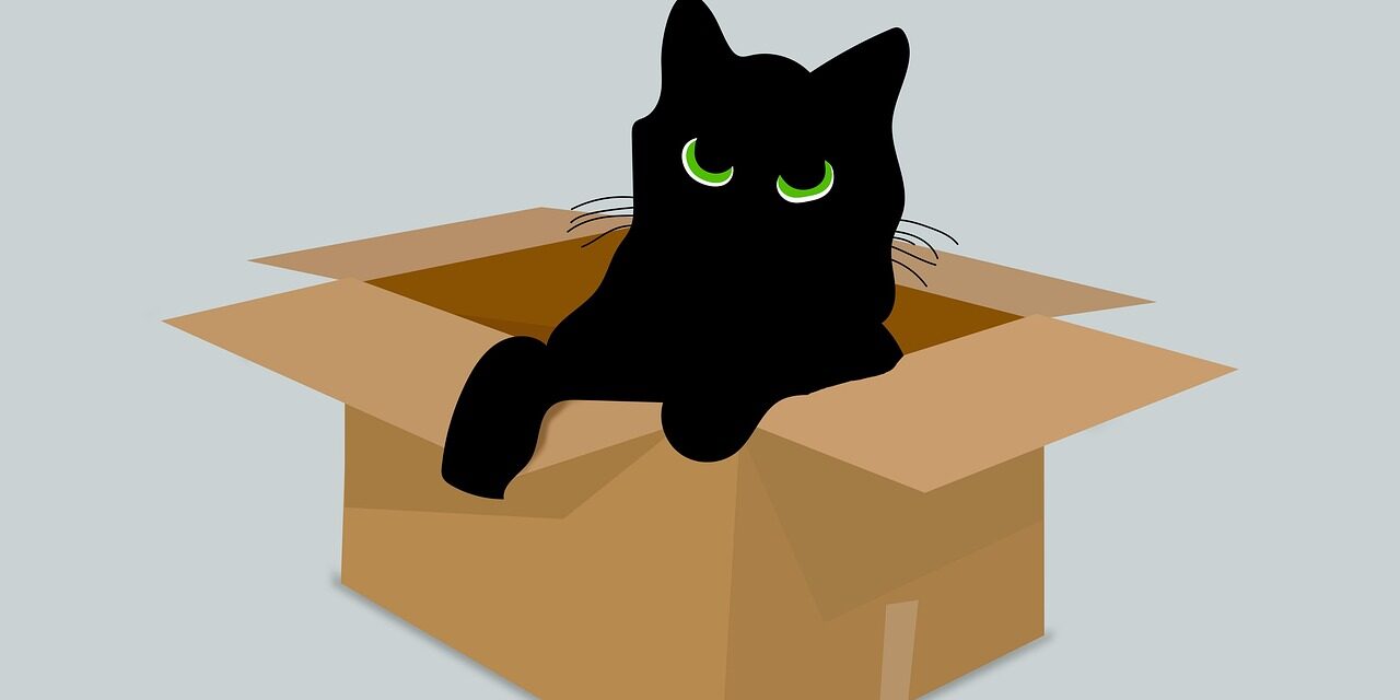 Christoph Scheffler: Schrödinger sien Katt