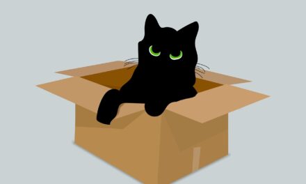 Christoph Scheffler: Schrödinger sien Katt