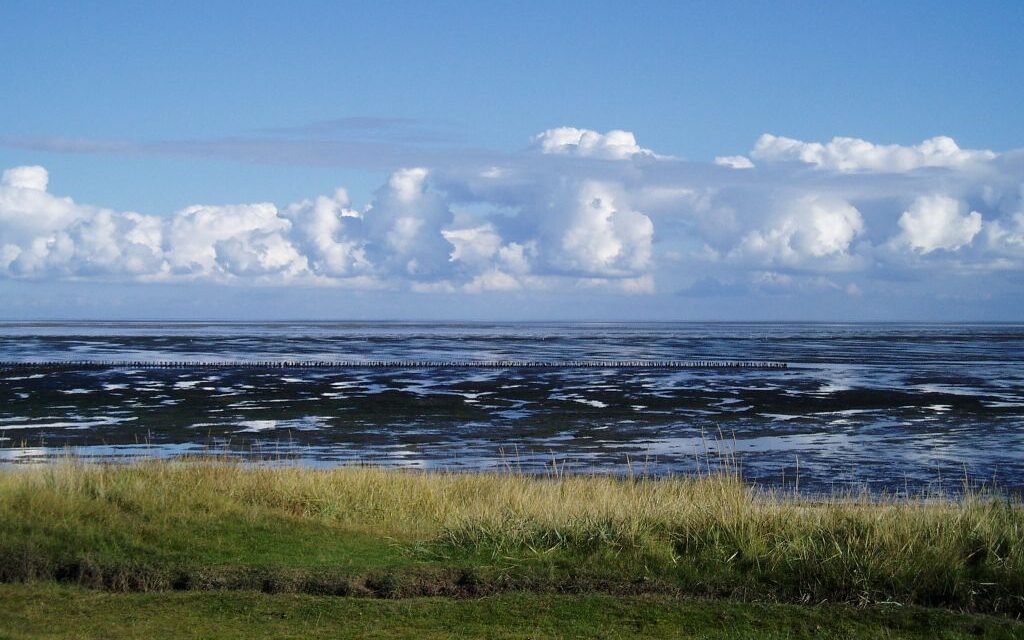 Hilfe und Selbsthilfe. Die gefährdete Demokratie, die Minderheiten und ihre Sprachen und der niederdeutsch-friesische PEN