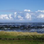 Hilfe und Selbsthilfe. Die gefährdete Demokratie, die Minderheiten und ihre Sprachen und der niederdeutsch-friesische PEN