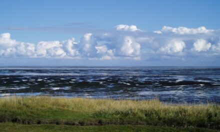 Hilfe und Selbsthilfe. Die gefährdete Demokratie, die Minderheiten und ihre Sprachen und der niederdeutsch-friesische PEN